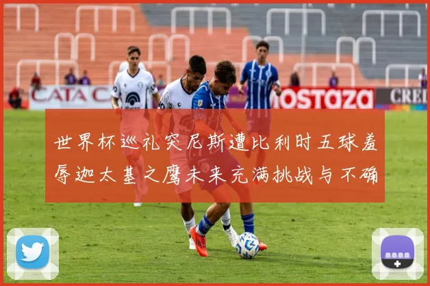 世界杯巡礼突尼斯遭比利时五球羞辱迦太基之鹰未来充满挑战与不确定性